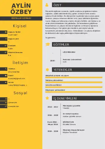 Güzellik Uzmanı Cv Örnekleri  cv indir